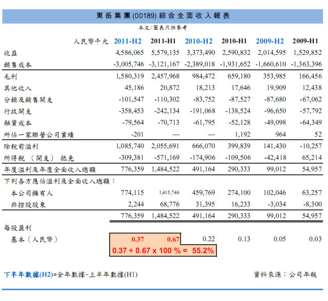 東岳集團(00189) 綜合全面收入報表