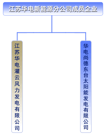 jiangsu_huadian_member_companies